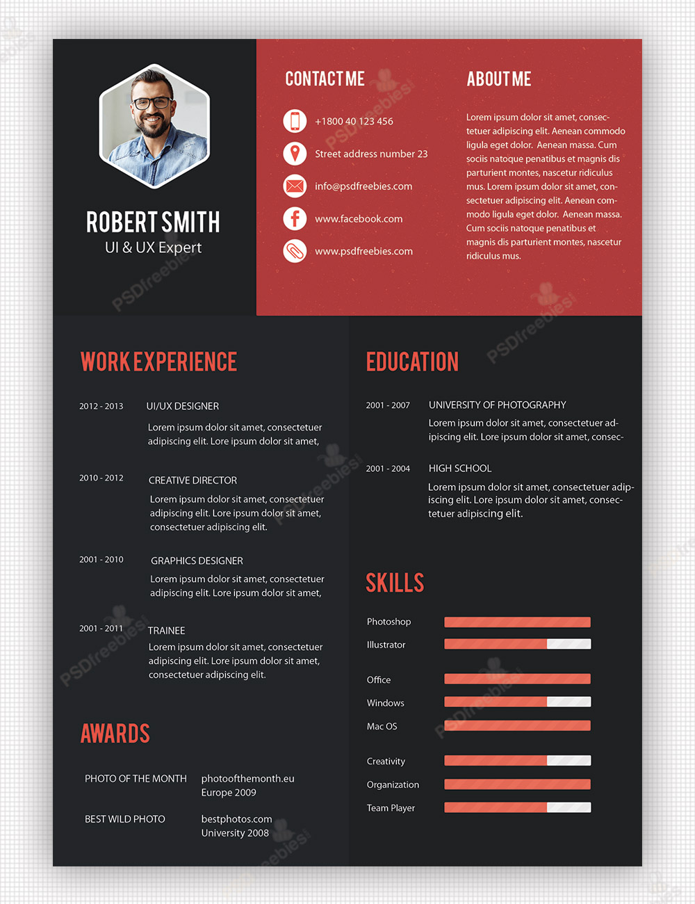 creative professional resume templates  - 100 images