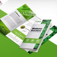 Nature Tri Fold Brochure Template Free PSD