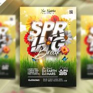 Spring Break Party Flyer Design PSD